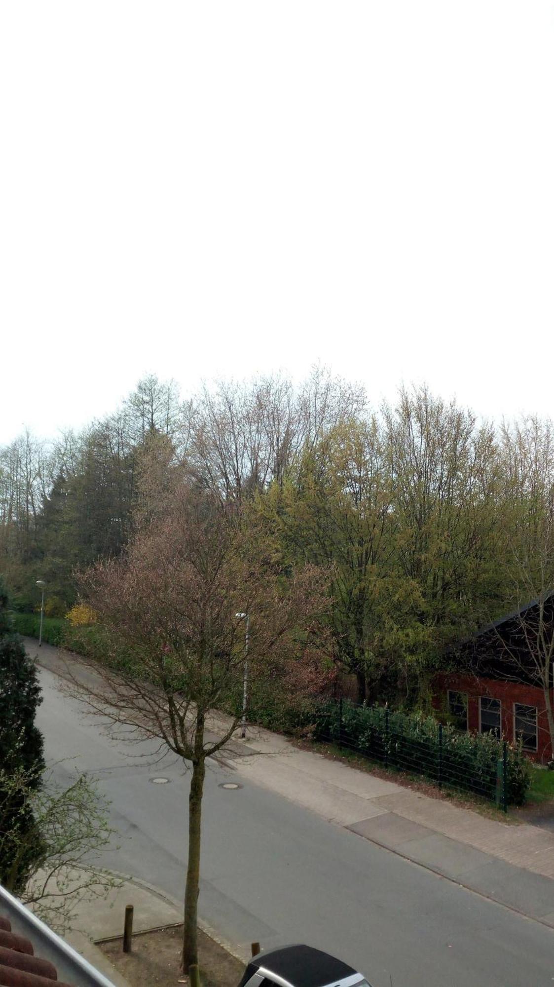 Ferienwohnung Mit Loggia Munster  Bagian luar foto