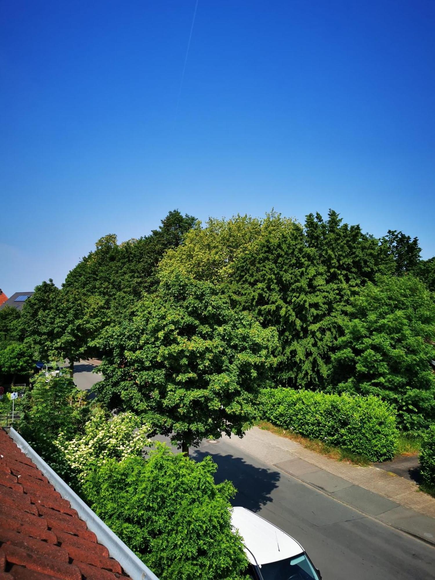 Ferienwohnung Mit Loggia Munster  Bagian luar foto